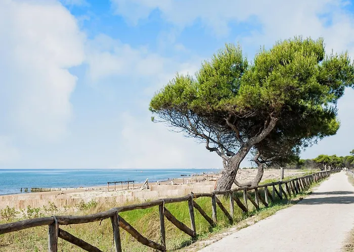 Bright Flat In A With Shared Pool شقة بيبيوني